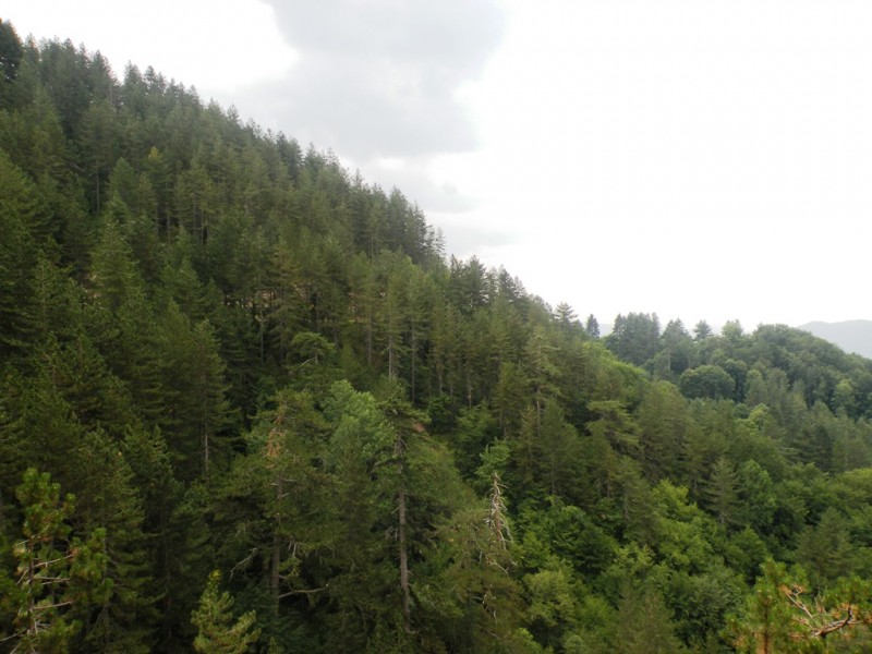 DSCN9951.JPG