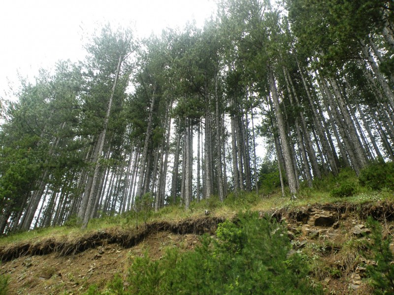 DSCN9952.JPG