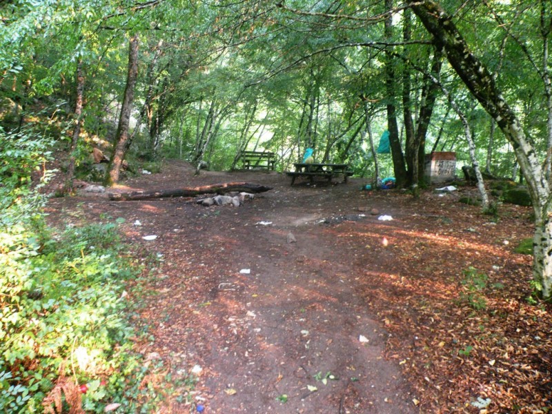 DSCN9968.JPG