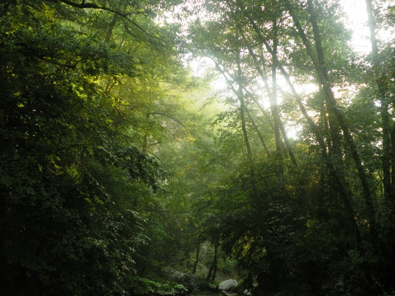 DSCN9982.JPG