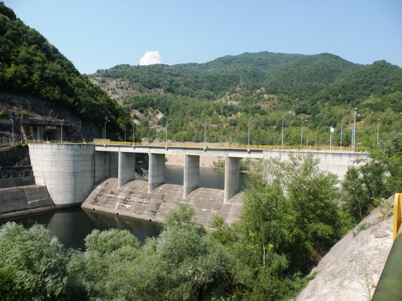 DSCN0008.JPG
