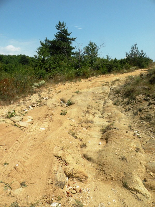 DSCN0030.JPG