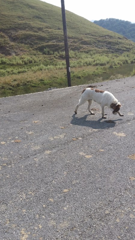 20150825_170906.jpg