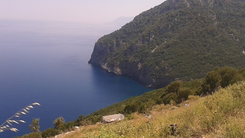 20150729_130837 (1024x576).jpg