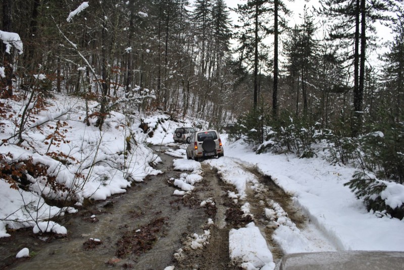 _DSC9807.jpg