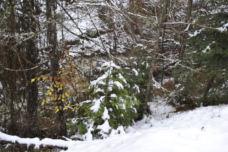 _DSC9840.jpg