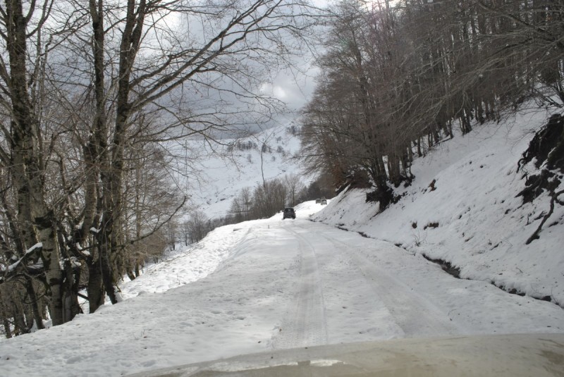 _DSC0124.jpg