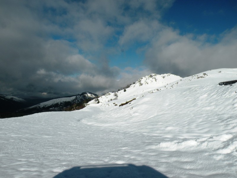 DSCN0153v.jpg