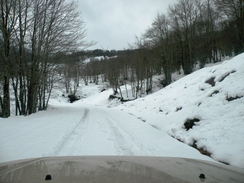 DSCN0156v.jpg