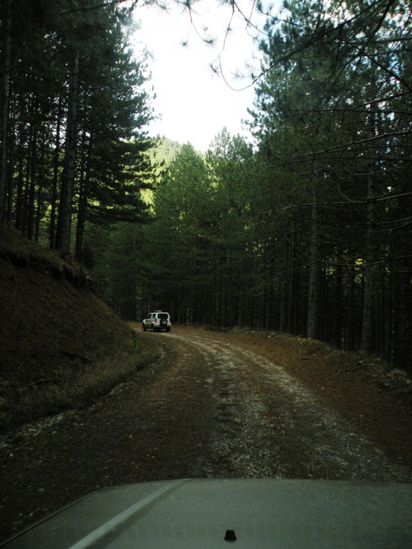 DSCN0174v.jpg