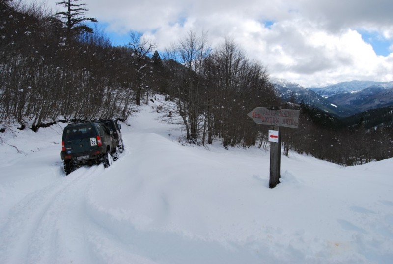 DSC_0583.jpg