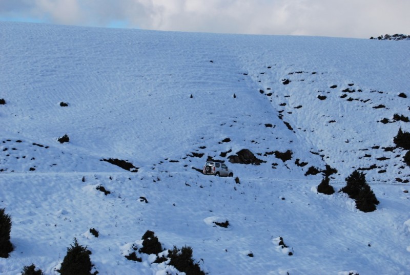 DSC_0604.jpg