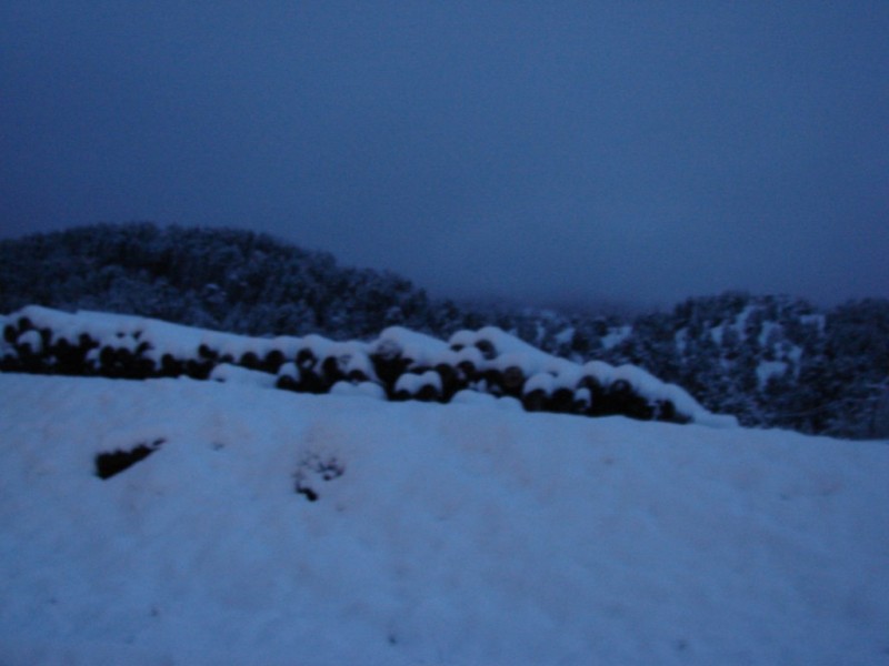 DSC05354_renamed_3681.jpg
