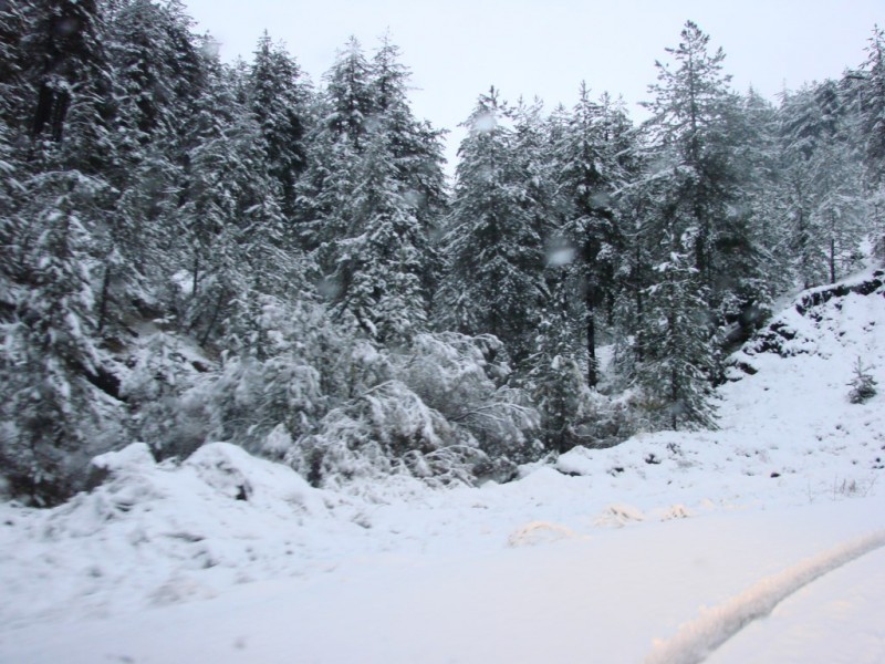 DSC05393_renamed_7654.jpg