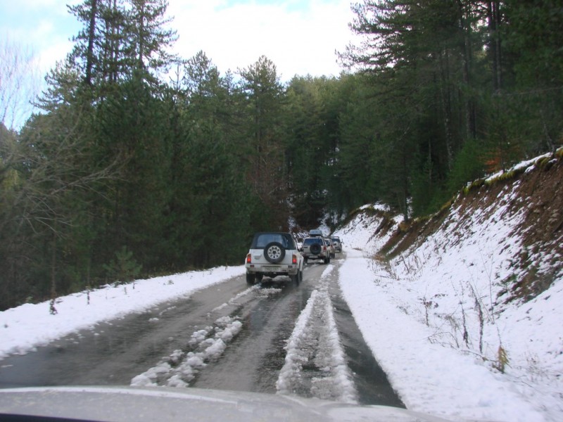 DSC05456_renamed_6553.jpg