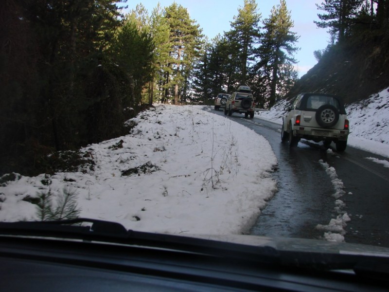 DSC05458_renamed_15776.jpg
