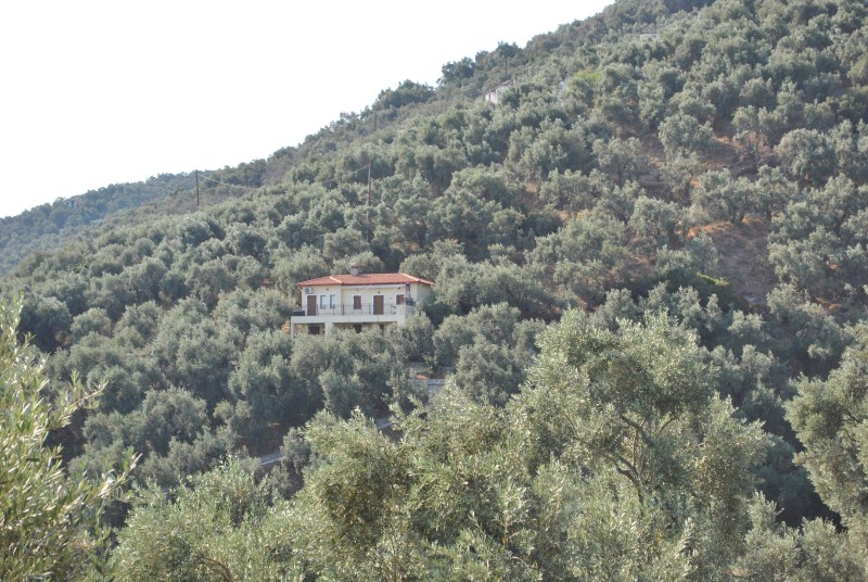 DSC_1994.jpg