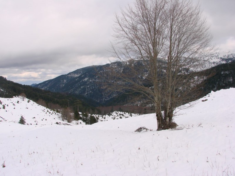 DSC05484_renamed_2010.jpg