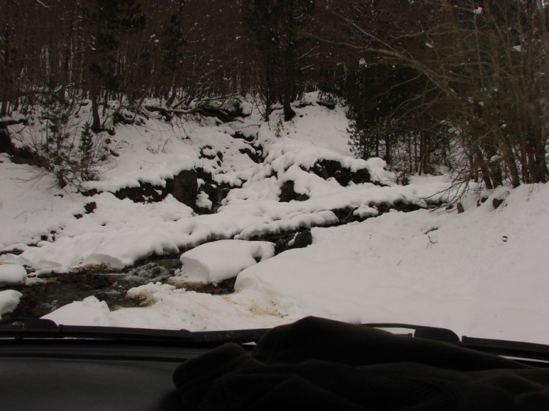 DSC05489_renamed_2643.jpg