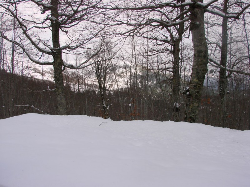 DSC05493_renamed_31889.jpg