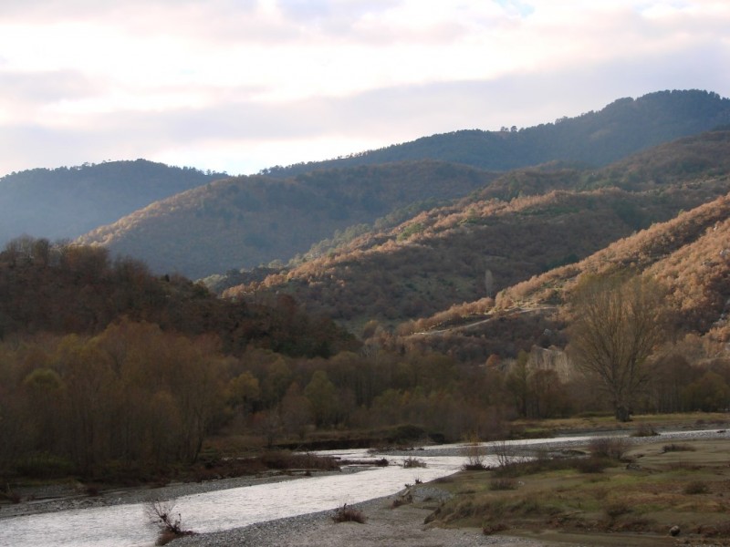 DSC05530_renamed_18377.jpg