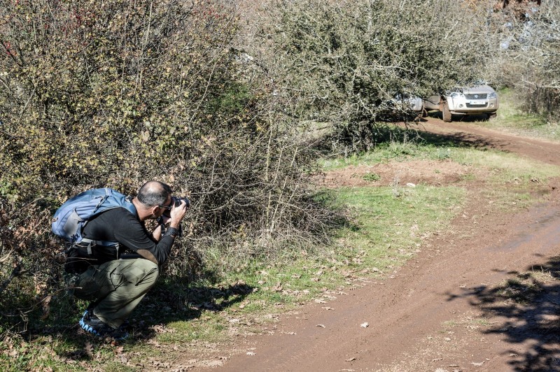 DSC_6882 (Αντιγραφή).jpg