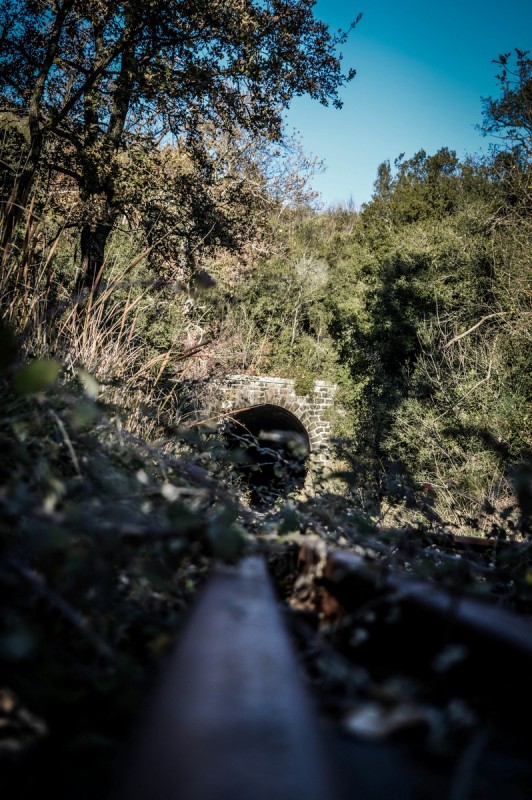 DSC_6900 (Αντιγραφή).jpg