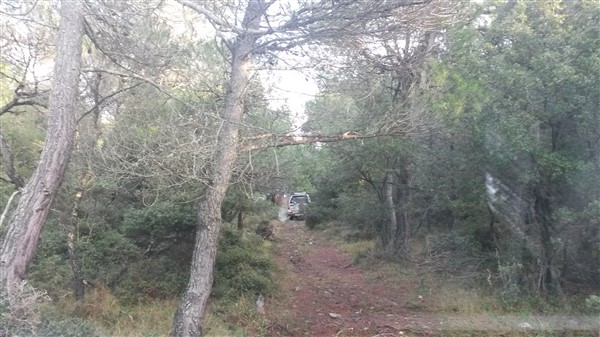 20160110_161808.jpg