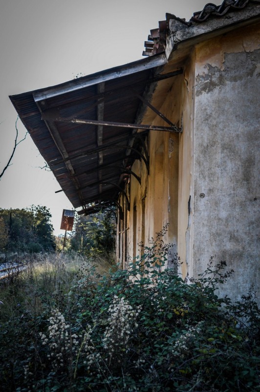 DSC_6939 (Αντιγραφή).jpg