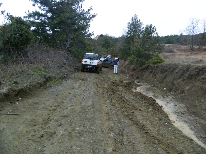 DSCN7634.jpg