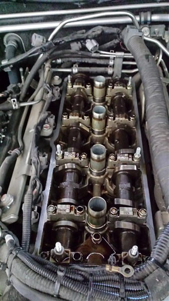 20160120_091057 (337 x 600).jpg