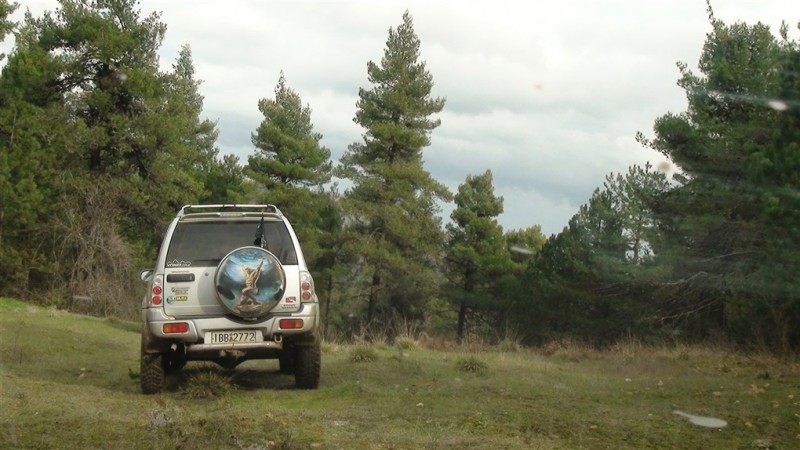 DSC00786.jpg