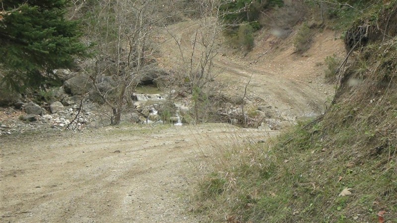 DSC00787.jpg