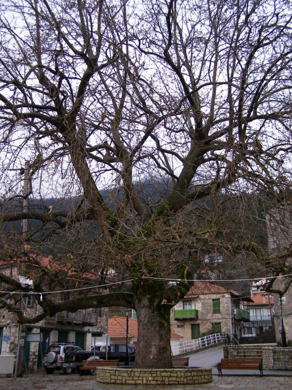 p44.jpg