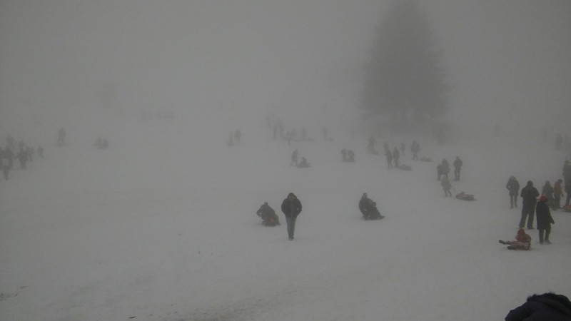 20160123_131424.jpg