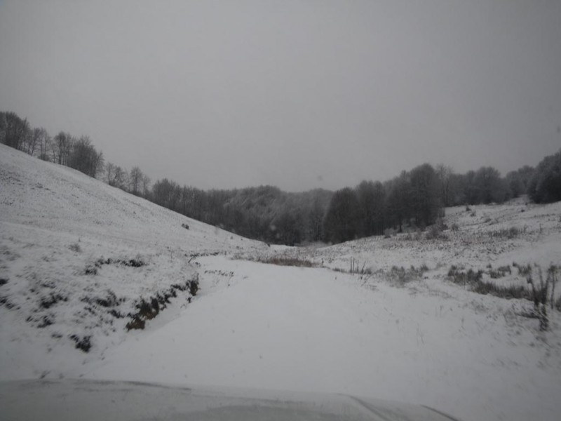 va01_1024x768.JPG