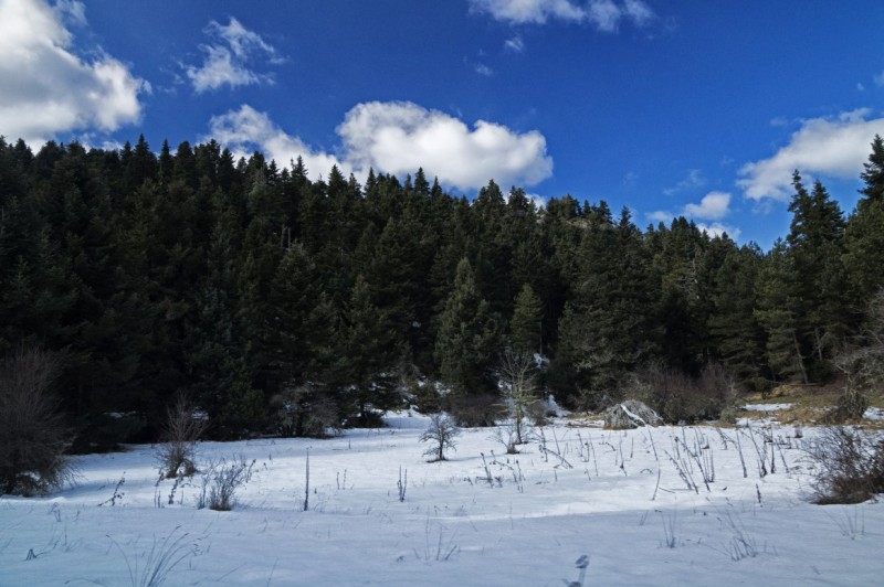 DSC03102.jpg