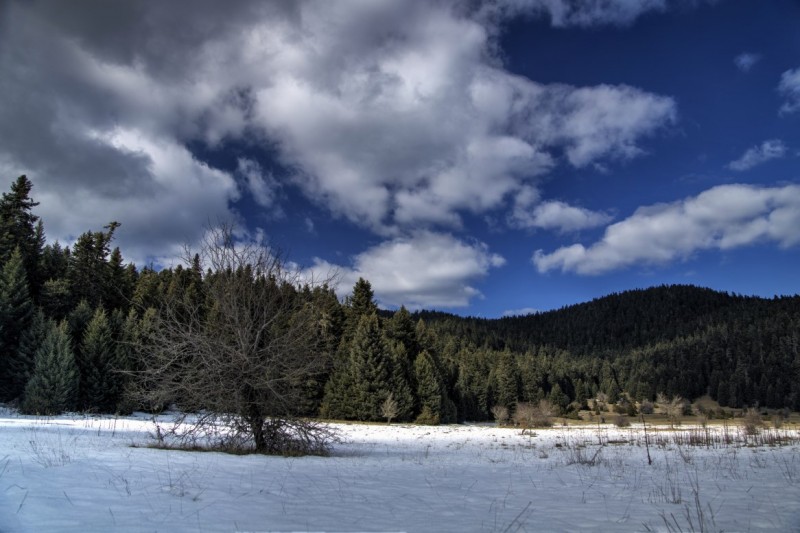 DSC03293_4_5_tonemapped.jpg