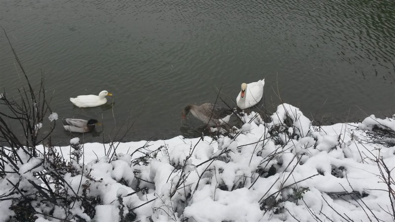 20160206_102001.jpg