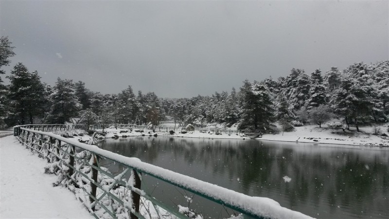 20160206_100343.jpg