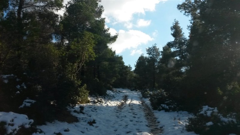 20160206_162354.jpg