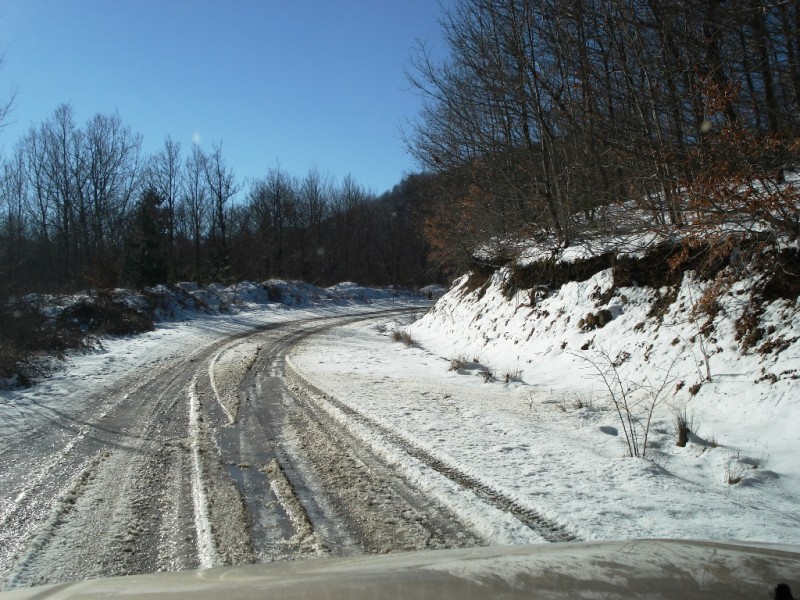 DSC02264v.jpg