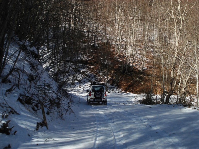DSC02281v.jpg