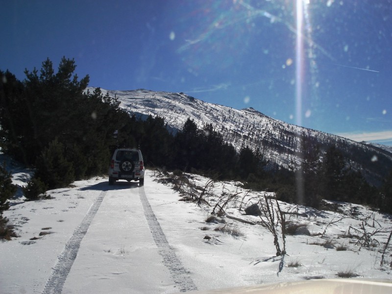 DSC02315v.jpg