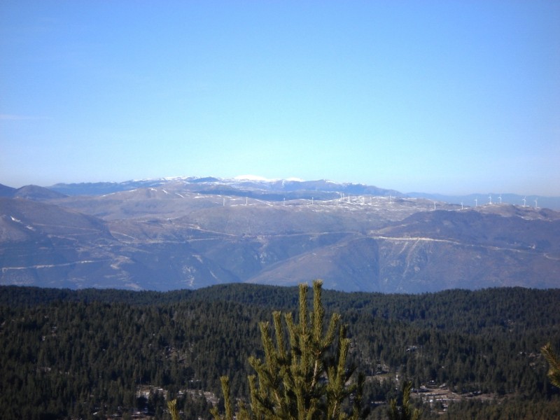 DSC02320b.jpg