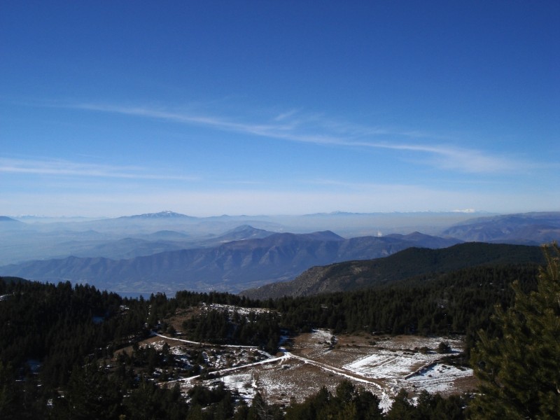 DSC02322v.jpg