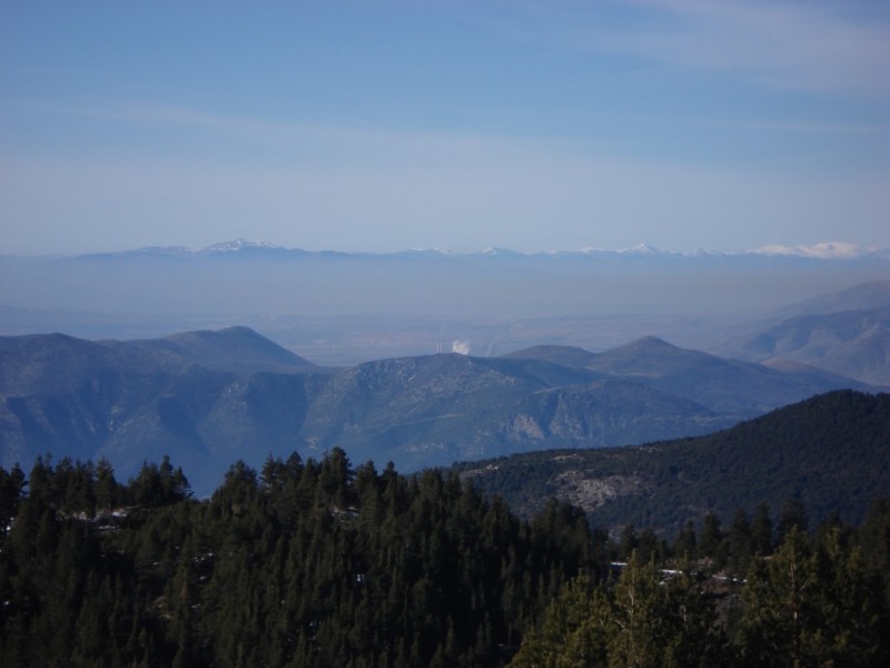 DSC02317c.jpg