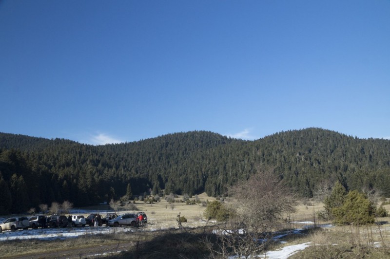 DSC03804.jpg