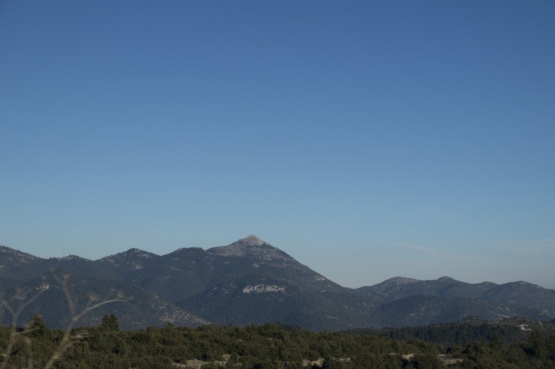 DSC03821.jpg