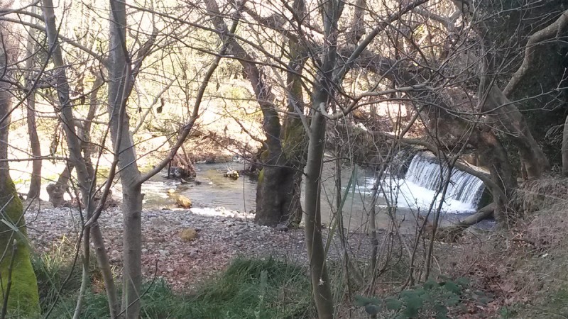 20160227_110757.jpg